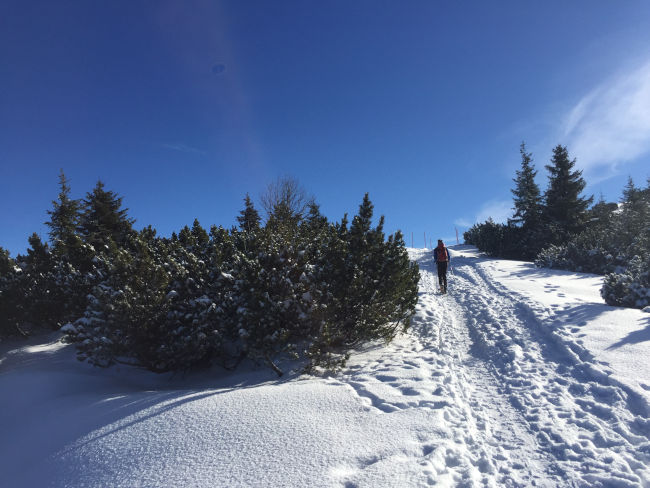 badersee blog skitouren am wank 40