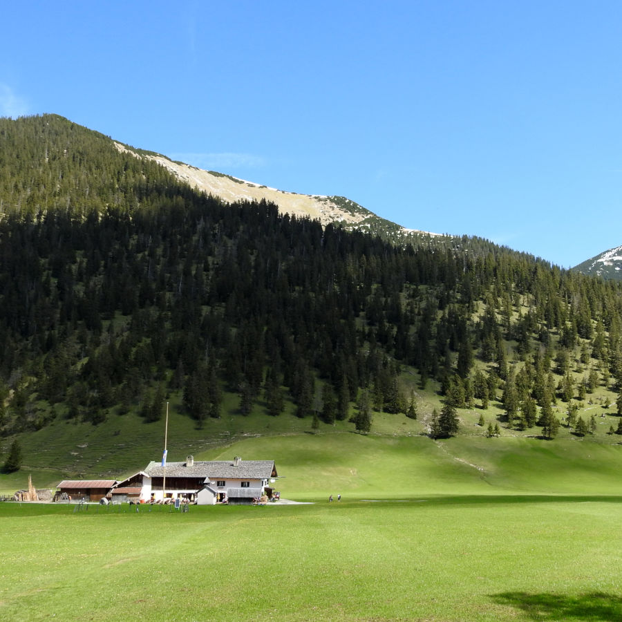 Der Badersee-Blog: Wanderung zur Esterbergalm (1.262 m)