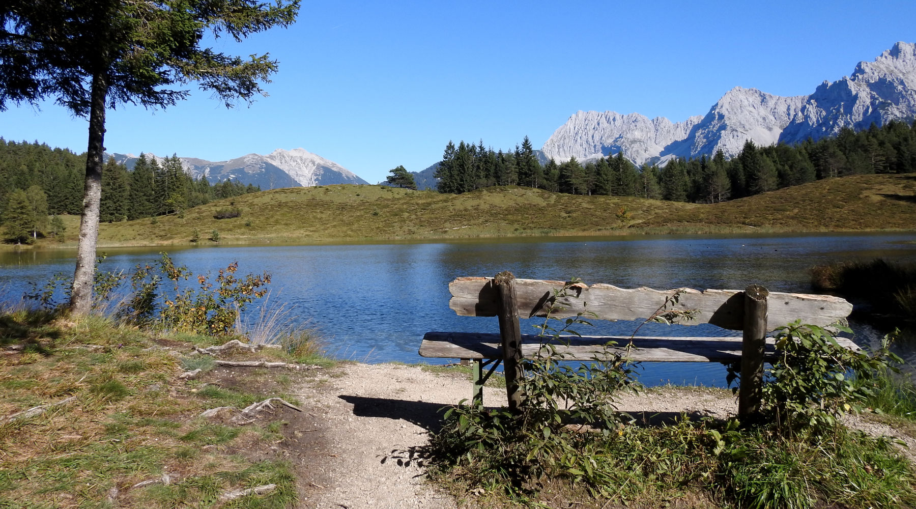 Der Badersee-Blog: Wanderung auf den Hohen Kranzberg (1.391 m)