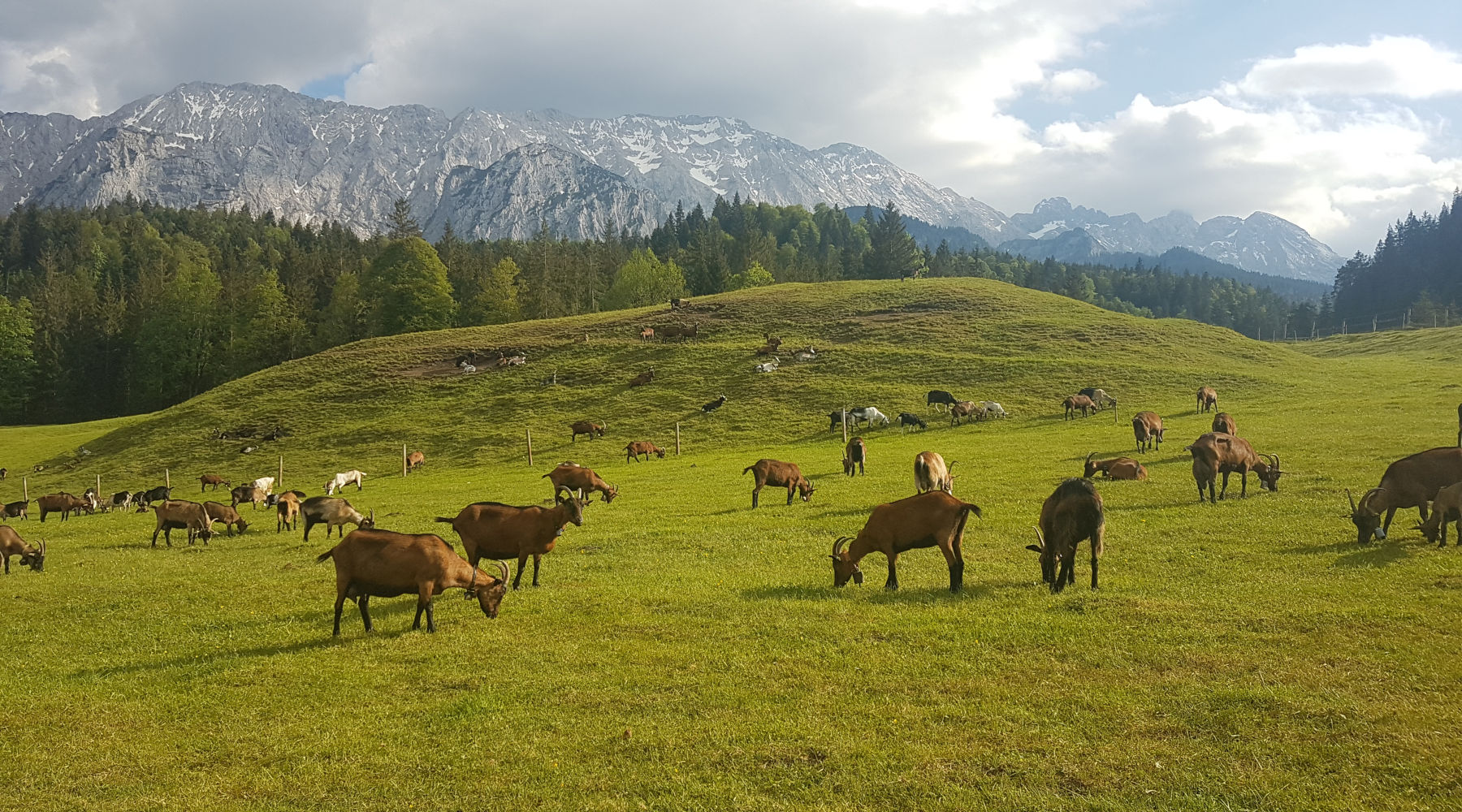 Badersee Blog: Elmau By Bike