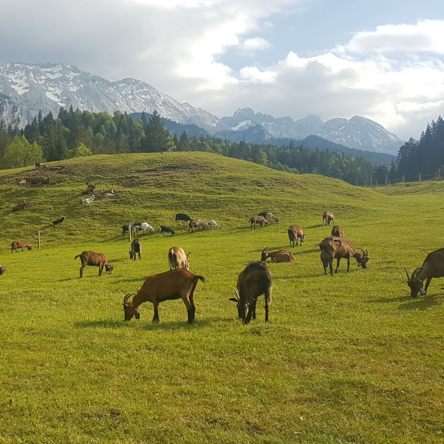Badersee-Blog: Mit dem Mountainbike nach Elmau