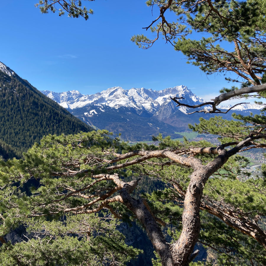 Der Badersee-Blog: Rundwanderung über die Kuhfluchtklamm, Hohen Fricken und Oberauer Steig