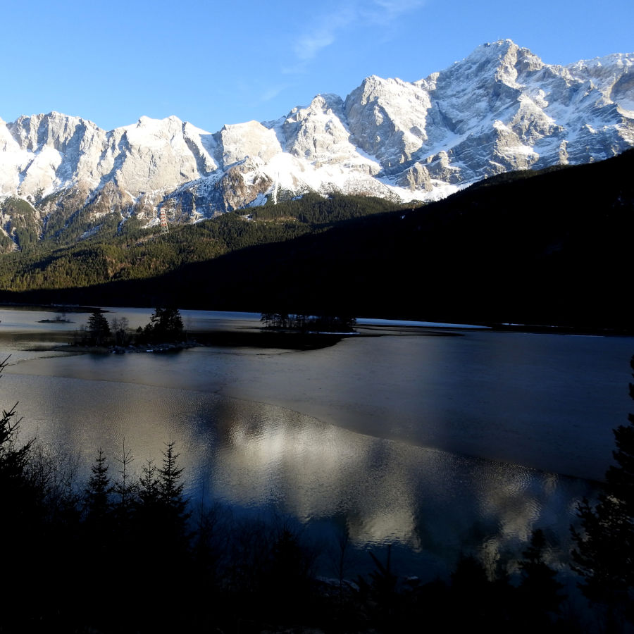 Badersee-Blog: Frühlingserwachen - Die Kraft der Natur