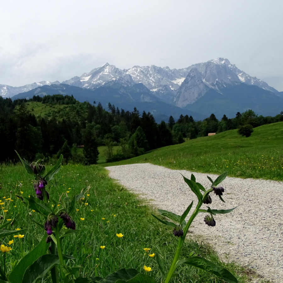 Badersee Blog: Hiking the Philosophers' Trail from Farchant to Garmisch-Partenkirchen