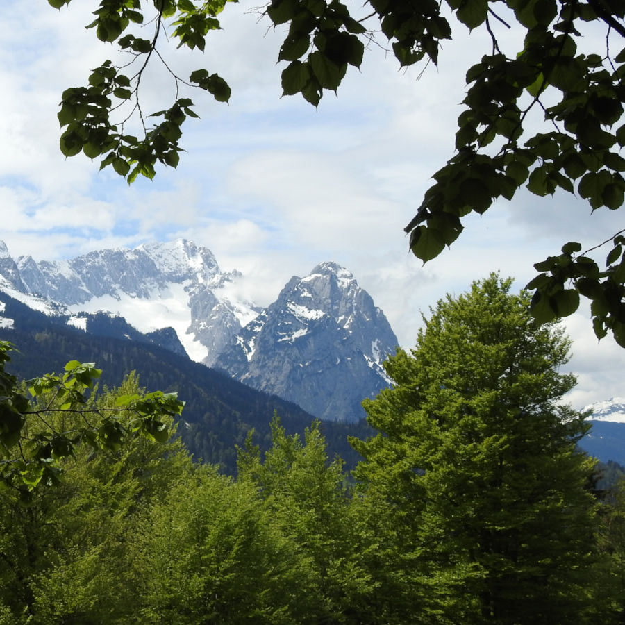 Badersee-Blog: Wanderung zum Steinbichl