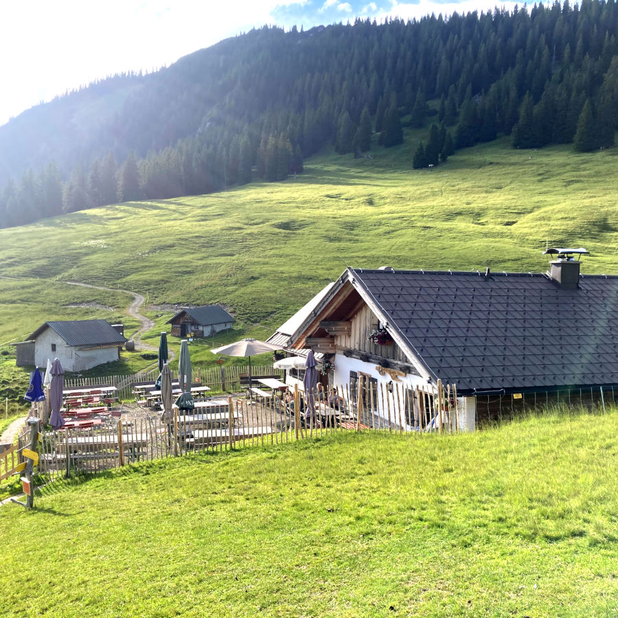 Der Badersee-Blog: Wanderung zur Stepbergalm