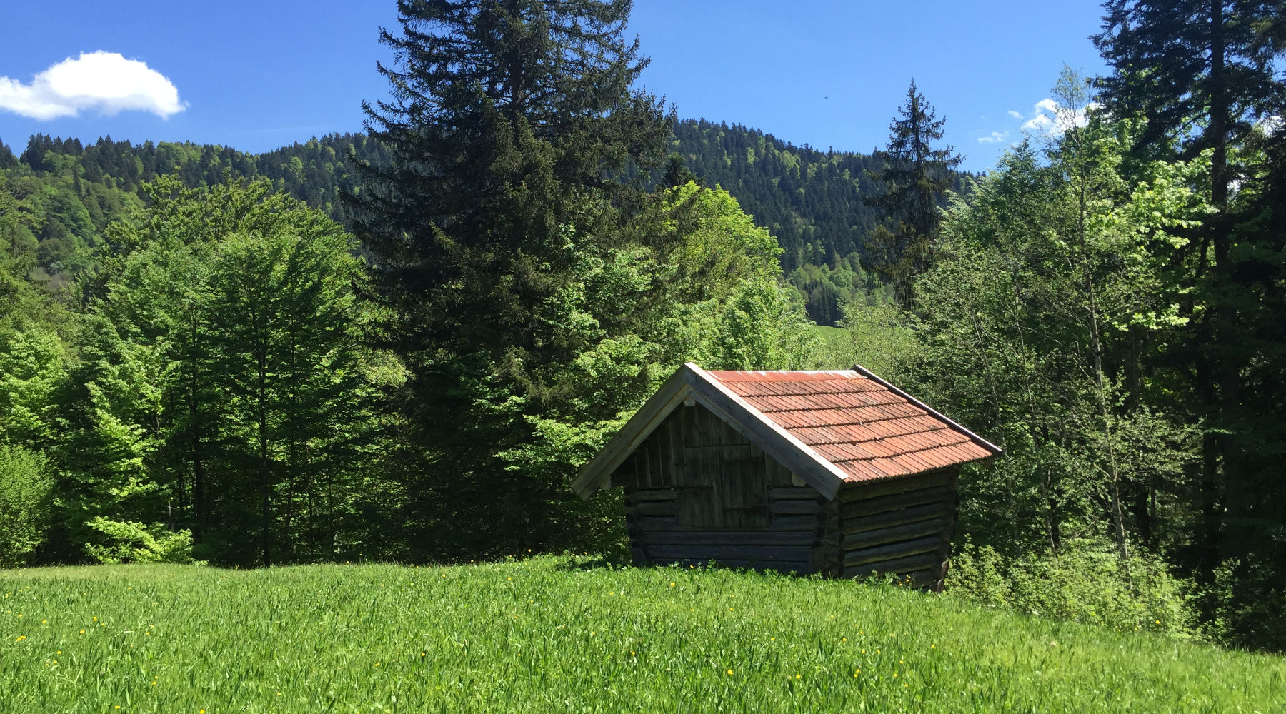 Der Badersee-Blog: Familienwanderung zur Kochelberg-Alm & Partnachalm