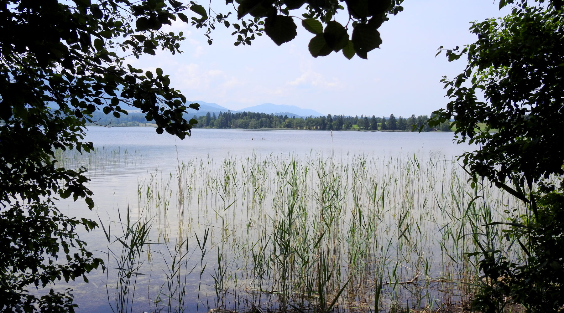 Spitzenwanderweg Etappe 12: Von Bad Kohlgrub nach Murnau