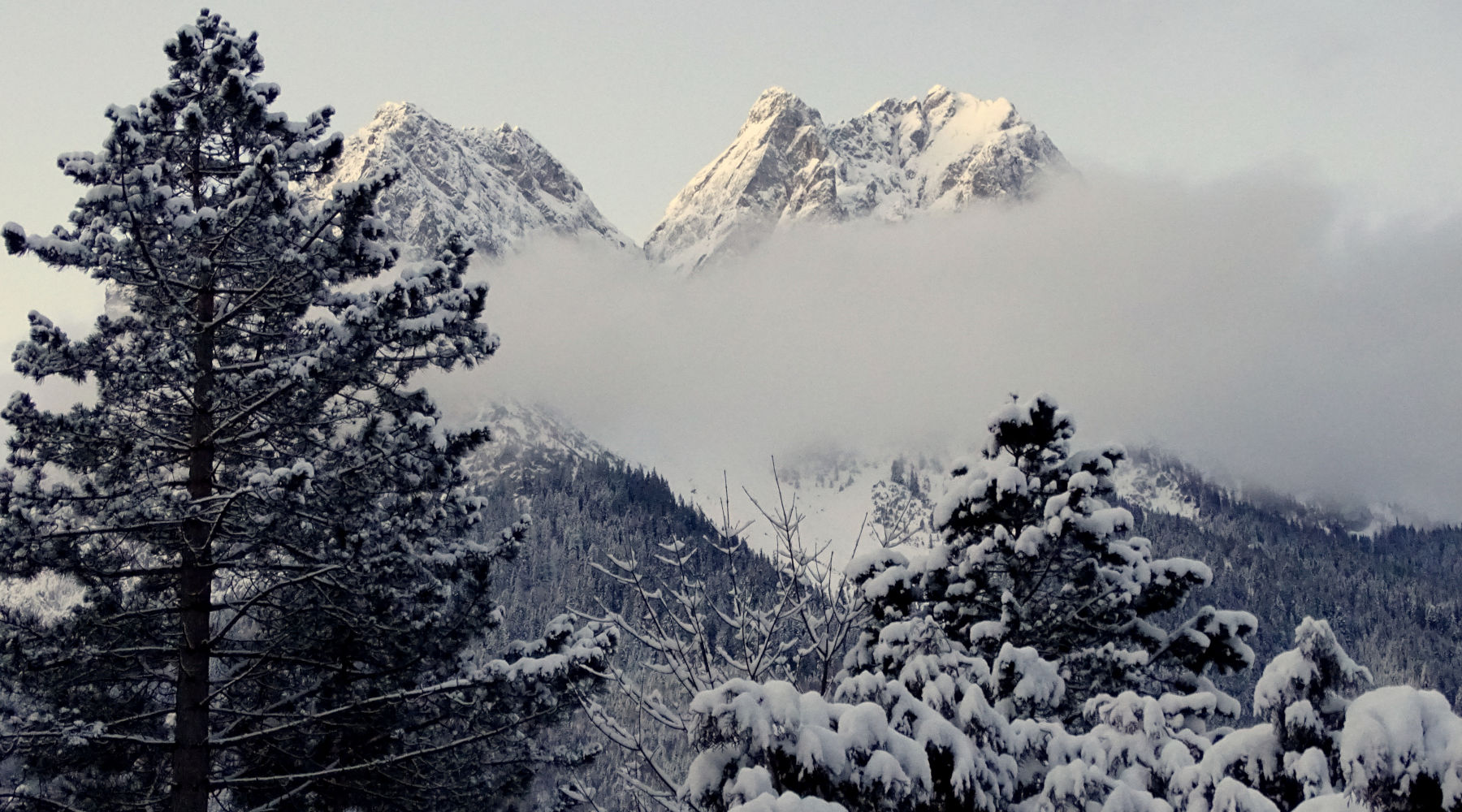 Der Badersee-Blog: 10 Leichte Winterwanderrouten mit bester Aussicht
