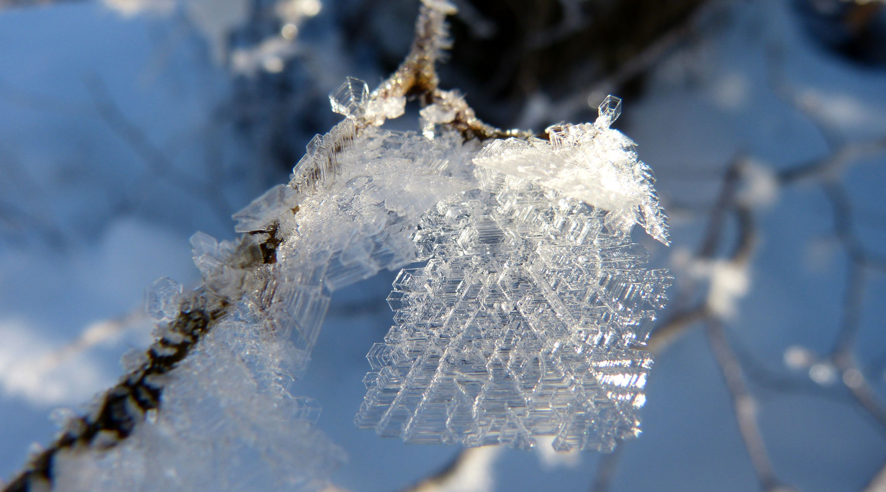 Der Badersee-Blog: Winteratmosphäre am Badersee