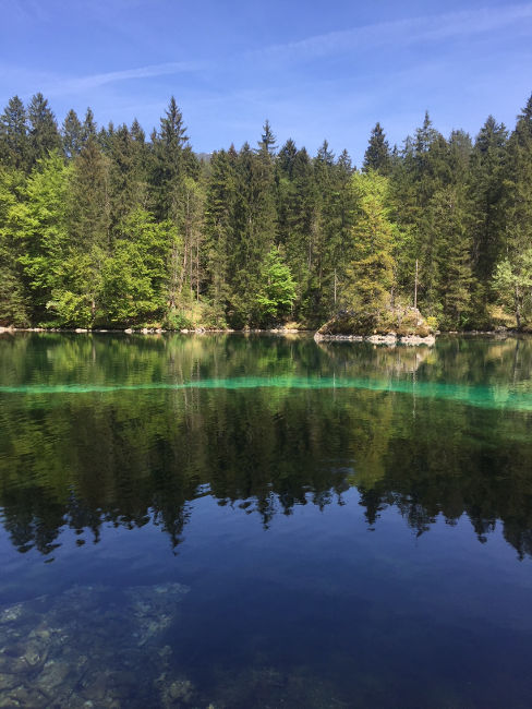 Badersee Rundgang 13