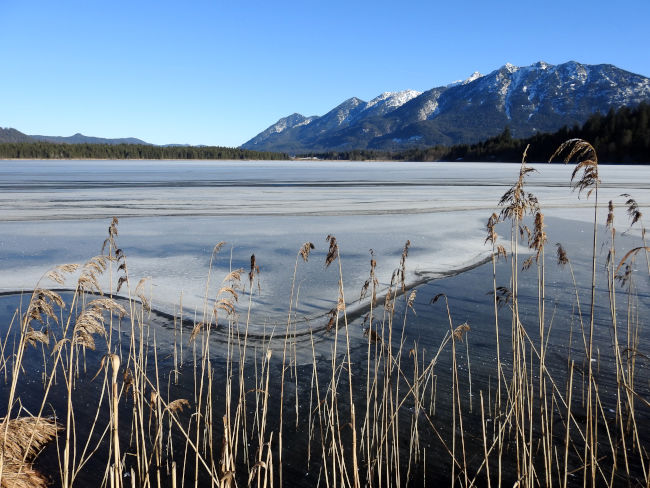 Crane lake webcam-pics and galleries