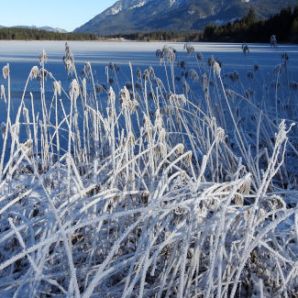 badersee-blog_barmsee_04