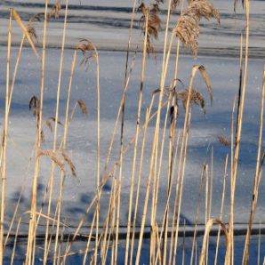 badersee-blog_barmsee_09