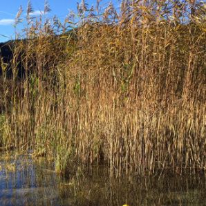 badersee-blog-kajak-eibsee23