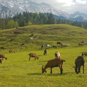 badersee-blog_radausflug_elmau_08