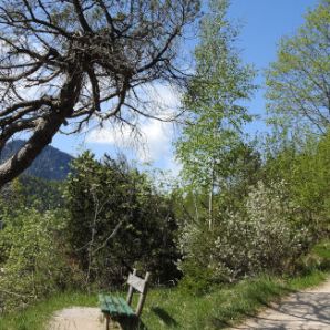 badersee-blog_wanderung-lautersee-ferchensee_03