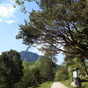 badersee-blog_wanderung-lautersee-ferchensee_07