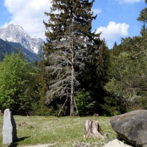 badersee-blog_wanderung-lautersee-ferchensee_15