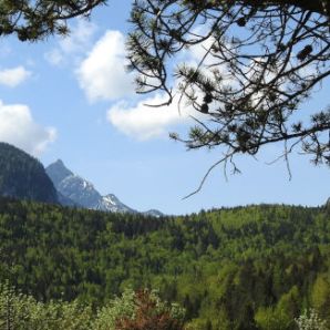 badersee-blog_wanderung-lautersee-ferchensee_16