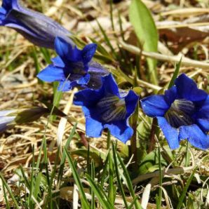 badersee-blog_wanderung-lautersee-ferchensee_17