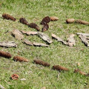 badersee-blog_wanderung-lautersee-ferchensee_23