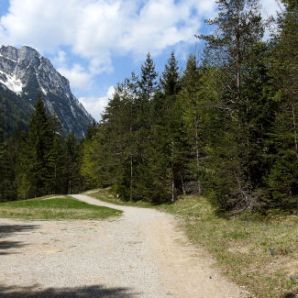 badersee-blog_wanderung-lautersee-ferchensee_32