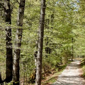 badersee-blog_wanderung-lautersee-ferchensee_35