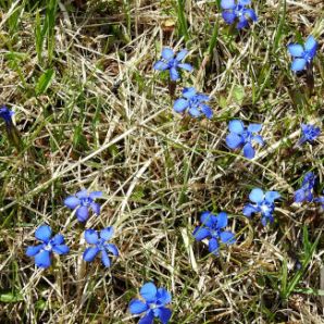 badersee-blog_wanderung-lautersee-ferchensee_42