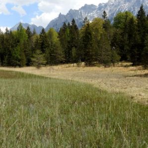 badersee-blog_wanderung-lautersee-ferchensee_52