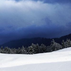 badersee-blog_ausflug-gschwandtnerbauer_17