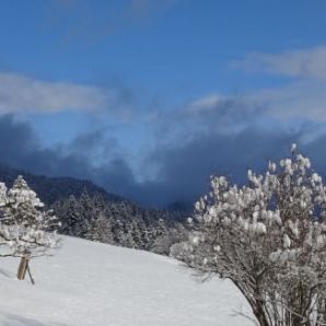 badersee-blog_ausflug-gschwandtnerbauer_20