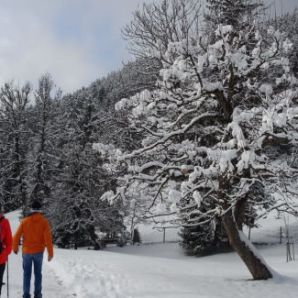 badersee-blog_ausflug-gschwandtnerbauer_22