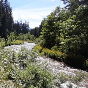 badersee-blog_radausflug_haeselgehr-wasserfall_04