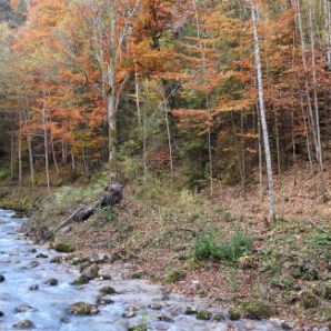 badersee-blog_wanderung-hoellental-hochalm_001