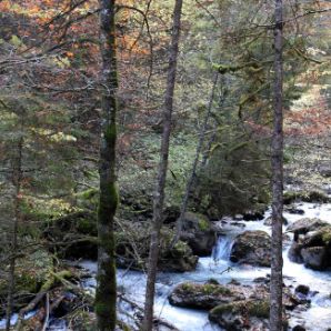 badersee-blog_wanderung-hoellental-hochalm_004