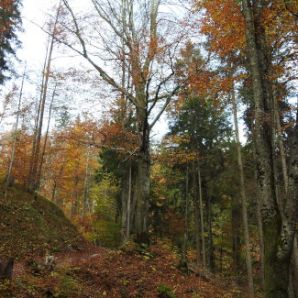 badersee-blog_wanderung-hoellental-hochalm_005