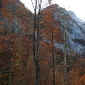 badersee-blog_wanderung-hoellental-hochalm_007