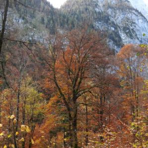 badersee-blog_wanderung-hoellental-hochalm_010