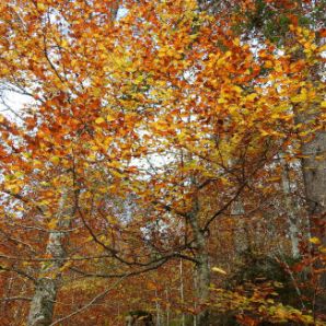 badersee-blog_wanderung-hoellental-hochalm_011