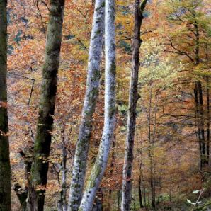 badersee-blog_wanderung-hoellental-hochalm_014