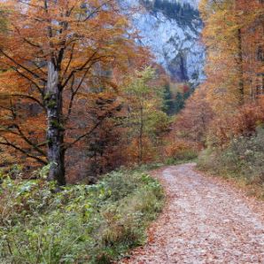 badersee-blog_wanderung-hoellental-hochalm_015