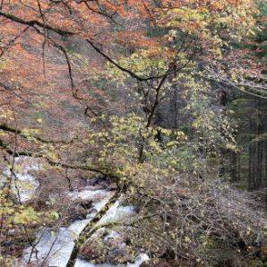 badersee-blog_wanderung-hoellental-hochalm_017