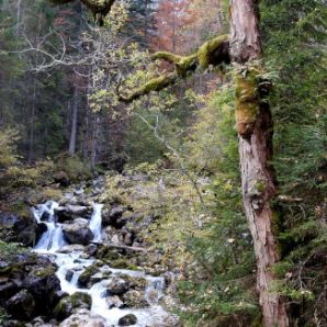 badersee-blog_wanderung-hoellental-hochalm_018