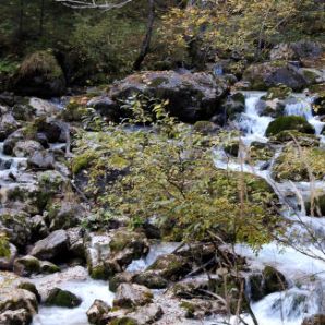 badersee-blog_wanderung-hoellental-hochalm_020