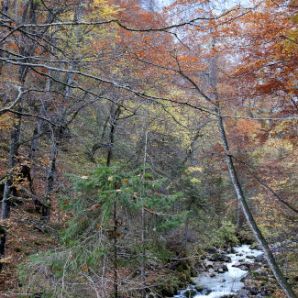 badersee-blog_wanderung-hoellental-hochalm_021