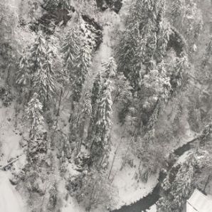 badersee_blog_hornschlittenrennen_19