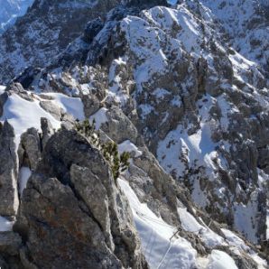 badersee-blog_mittenwalder-klettersteig_herbst_46