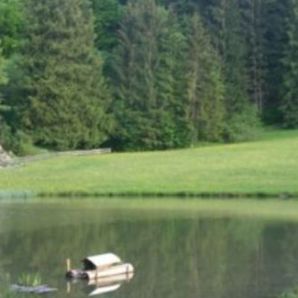 badersee-blog_kochelbergalm-partnachalm_03