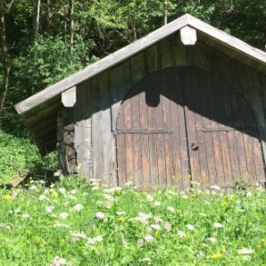 badersee-blog_kochelbergalm-partnachalm_29